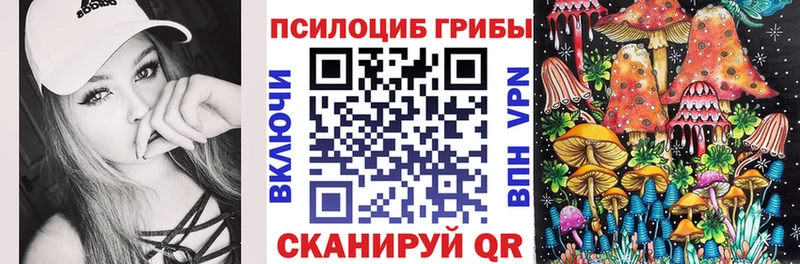 Галлюциногенные грибы Psilocybine cubensis  купить наркотик  Новоржев 